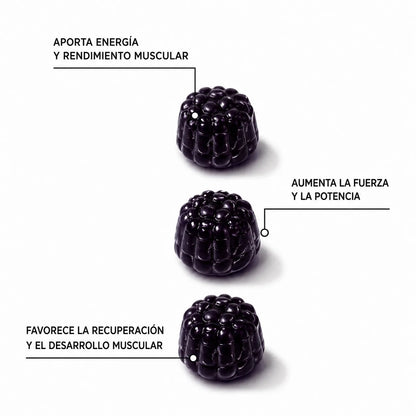 FOCUS® - Gomitas de Creatina Monohidratada